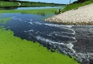 面对黑臭水体治理难题，都有哪些应用不错的处理工艺？
