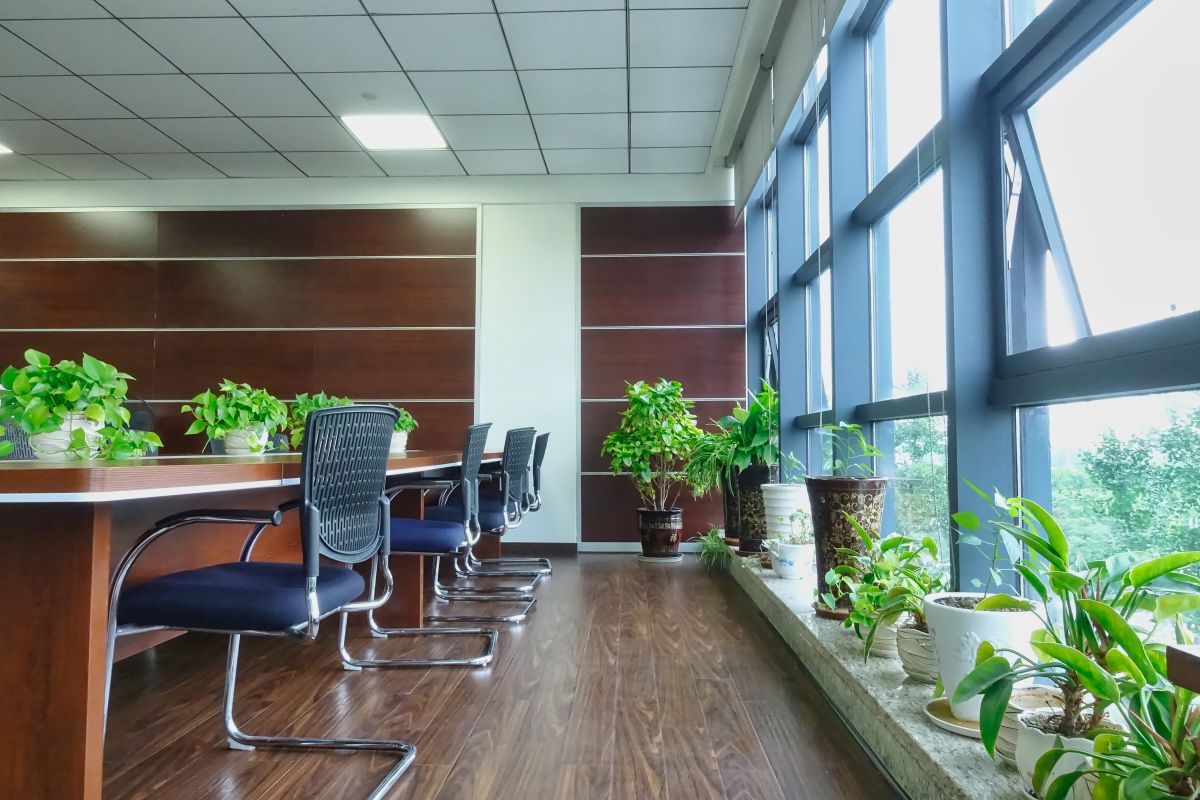 这才叫绿色环保，四川博水环保办公室盛夏绿意